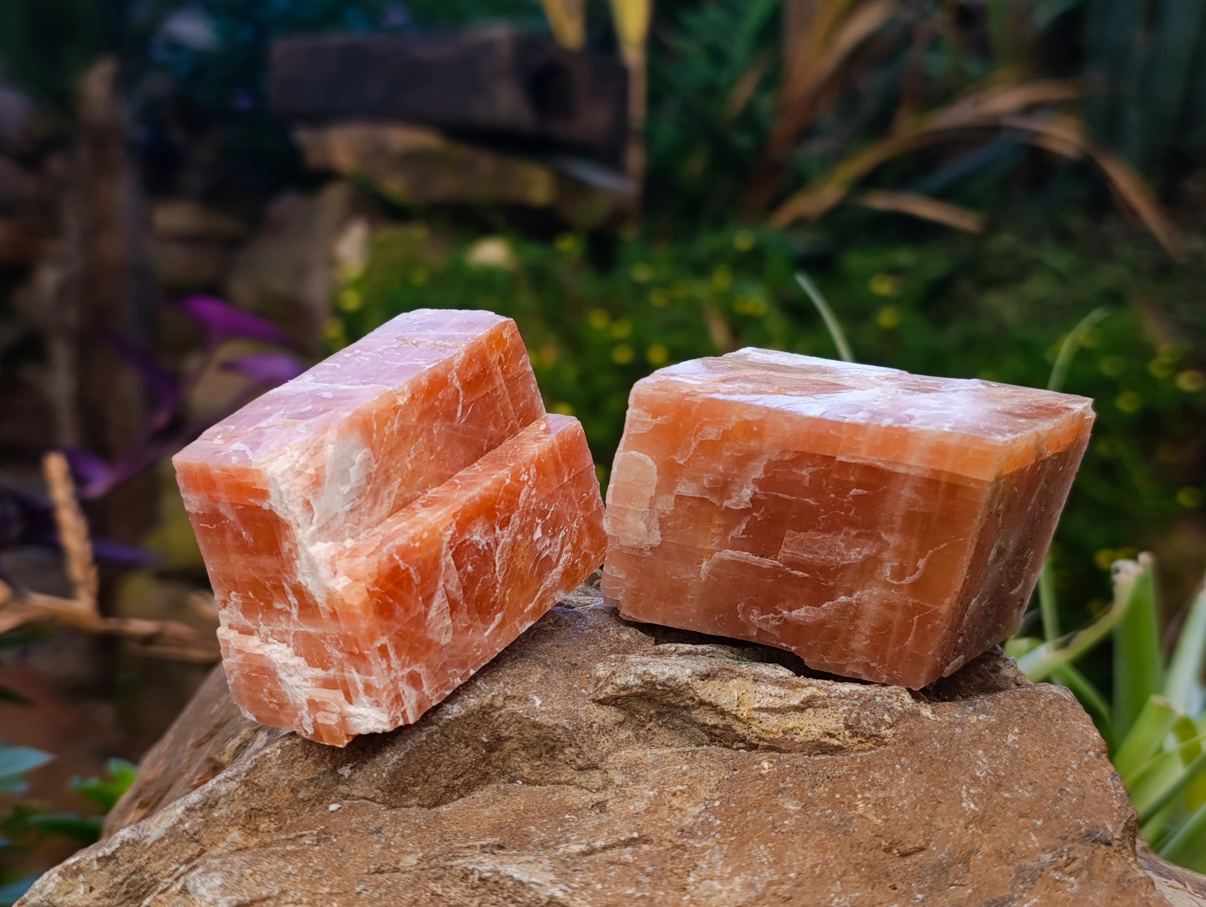 Natural Sunset Orange Calcite Specimens x 12 From Spitzkop, Namibia - Toprock Gemstones and Minerals 