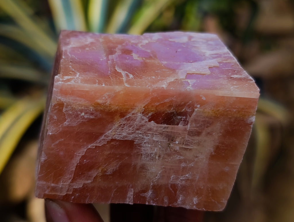 Natural Sunset Orange Calcite Specimens x 12 From Spitzkop, Namibia - Toprock Gemstones and Minerals 