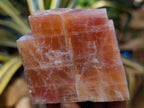 Natural Sunset Orange Calcite Specimens x 12 From Spitzkop, Namibia - Toprock Gemstones and Minerals 