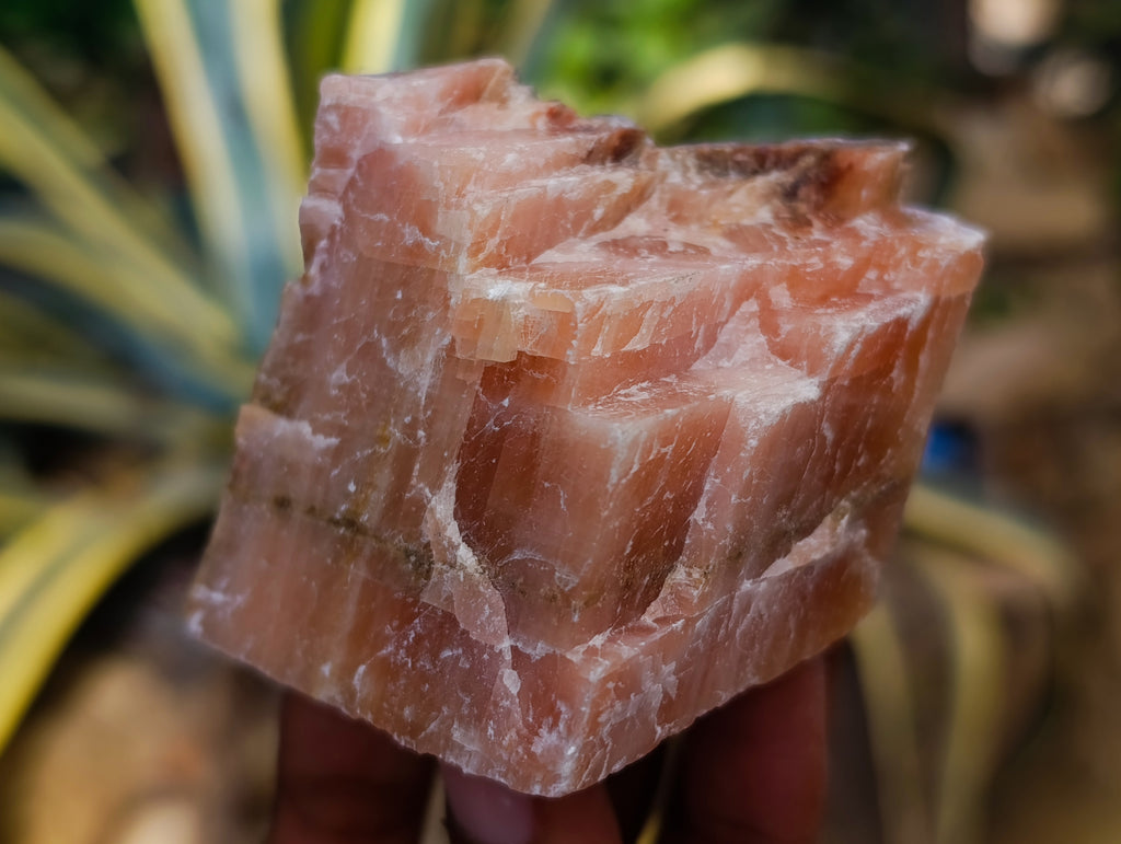 Natural Sunset Orange Calcite Specimens x 12 From Spitzkop, Namibia - Toprock Gemstones and Minerals 