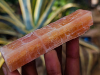 Natural Sunset Orange Calcite Specimens x 12 From Spitzkop, Namibia - Toprock Gemstones and Minerals 