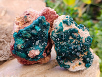 Natural Dioptase On Dolomite Specimens x 3 From Likasi, Congo - Toprock Gemstones and Minerals 