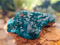 Natural Dioptase On Dolomite Specimens x 3 From Likasi, Congo - Toprock Gemstones and Minerals 