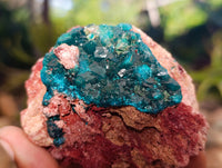 Natural Dioptase On Dolomite Specimens x 3 From Likasi, Congo - Toprock Gemstones and Minerals 