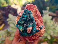 Natural Dioptase On Dolomite Specimens x 3 From Likasi, Congo - Toprock Gemstones and Minerals 