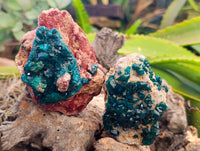 Natural Dioptase On Dolomite Specimens x 3 From Likasi, Congo - Toprock Gemstones and Minerals 