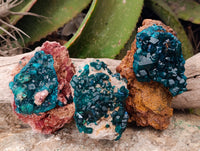 Natural Dioptase On Dolomite Specimens x 3 From Likasi, Congo - Toprock Gemstones and Minerals 