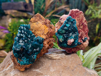 Natural Dioptase On Dolomite Specimens x 3 From Likasi, Congo - Toprock Gemstones and Minerals 