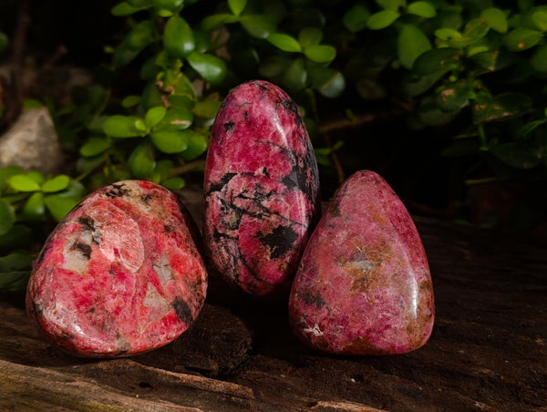 Polished Rhodonite Free Forms x 6 From Rhusinga, Zimbabwe