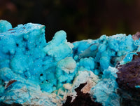 Natural Drusy Coated Chrysocolla with Malachite and Heterogenite x 1 From Congo - Toprock Gemstones and Minerals 