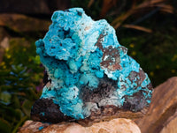 Natural Drusy Coated Chrysocolla with Malachite and Heterogenite x 1 From Congo - Toprock Gemstones and Minerals 