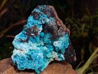 Natural Drusy Coated Chrysocolla with Malachite and Heterogenite x 1 From Congo - Toprock Gemstones and Minerals 