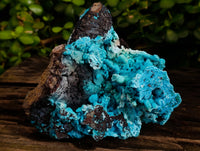 Natural Drusy Coated Chrysocolla with Malachite and Heterogenite x 1 From Congo - Toprock Gemstones and Minerals 