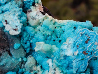 Natural Drusy Coated Chrysocolla with Malachite and Heterogenite x 1 From Congo - Toprock Gemstones and Minerals 