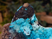 Natural Drusy Coated Chrysocolla with Malachite and Heterogenite x 1 From Congo - Toprock Gemstones and Minerals 