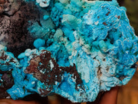 Natural Drusy Coated Chrysocolla with Malachite and Heterogenite x 1 From Congo - Toprock Gemstones and Minerals 