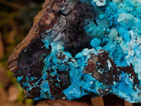 Natural Drusy Coated Chrysocolla with Malachite and Heterogenite x 1 From Congo - Toprock Gemstones and Minerals 