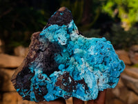 Natural Drusy Coated Chrysocolla with Malachite and Heterogenite x 1 From Congo - Toprock Gemstones and Minerals 
