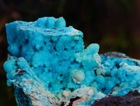 Natural Drusy Coated Chrysocolla with Malachite and Heterogenite x 1 From Congo - Toprock Gemstones and Minerals 