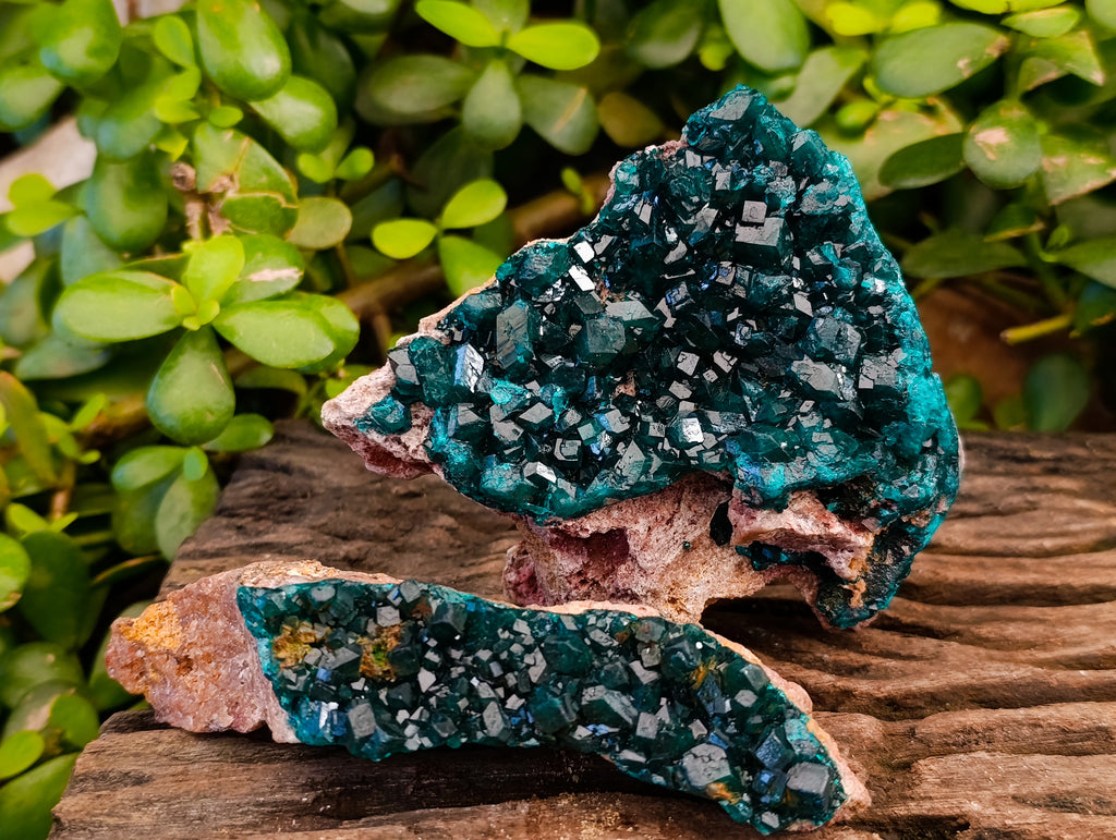 Natural Dioptase On Dolomite Specimens x 3 From Likasi, Congo - Toprock Gemstones and Minerals 