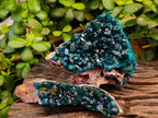Natural Dioptase On Dolomite Specimens x 3 From Likasi, Congo - Toprock Gemstones and Minerals 