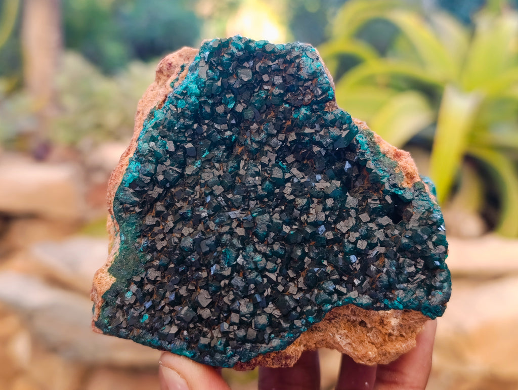 Natural Dioptase On Dolomite Specimens x 3 From Likasi, Congo - Toprock Gemstones and Minerals 