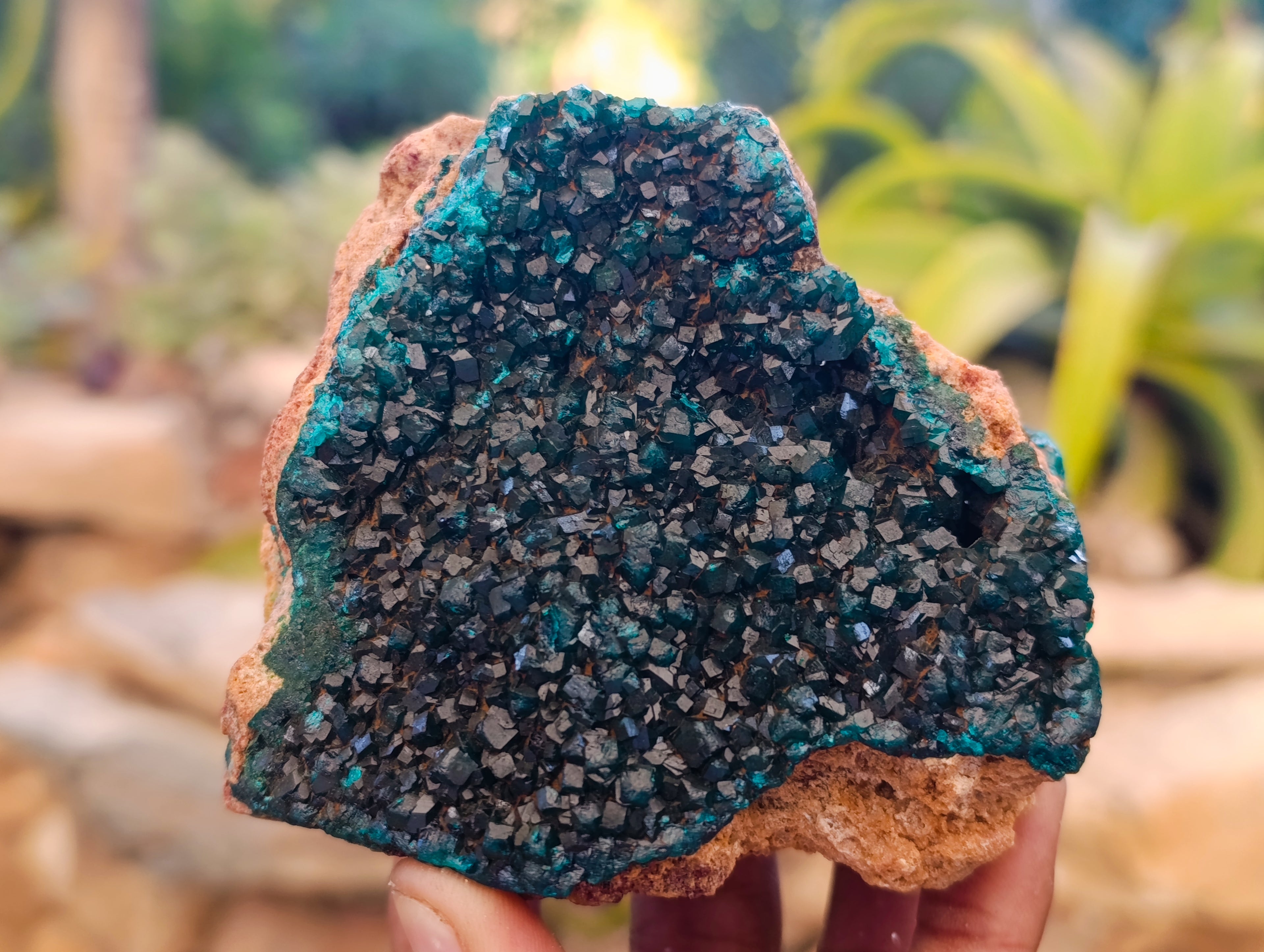 Natural Dioptase On Dolomite Specimens x 3 From Likasi, Congo - Toprock Gemstones and Minerals 
