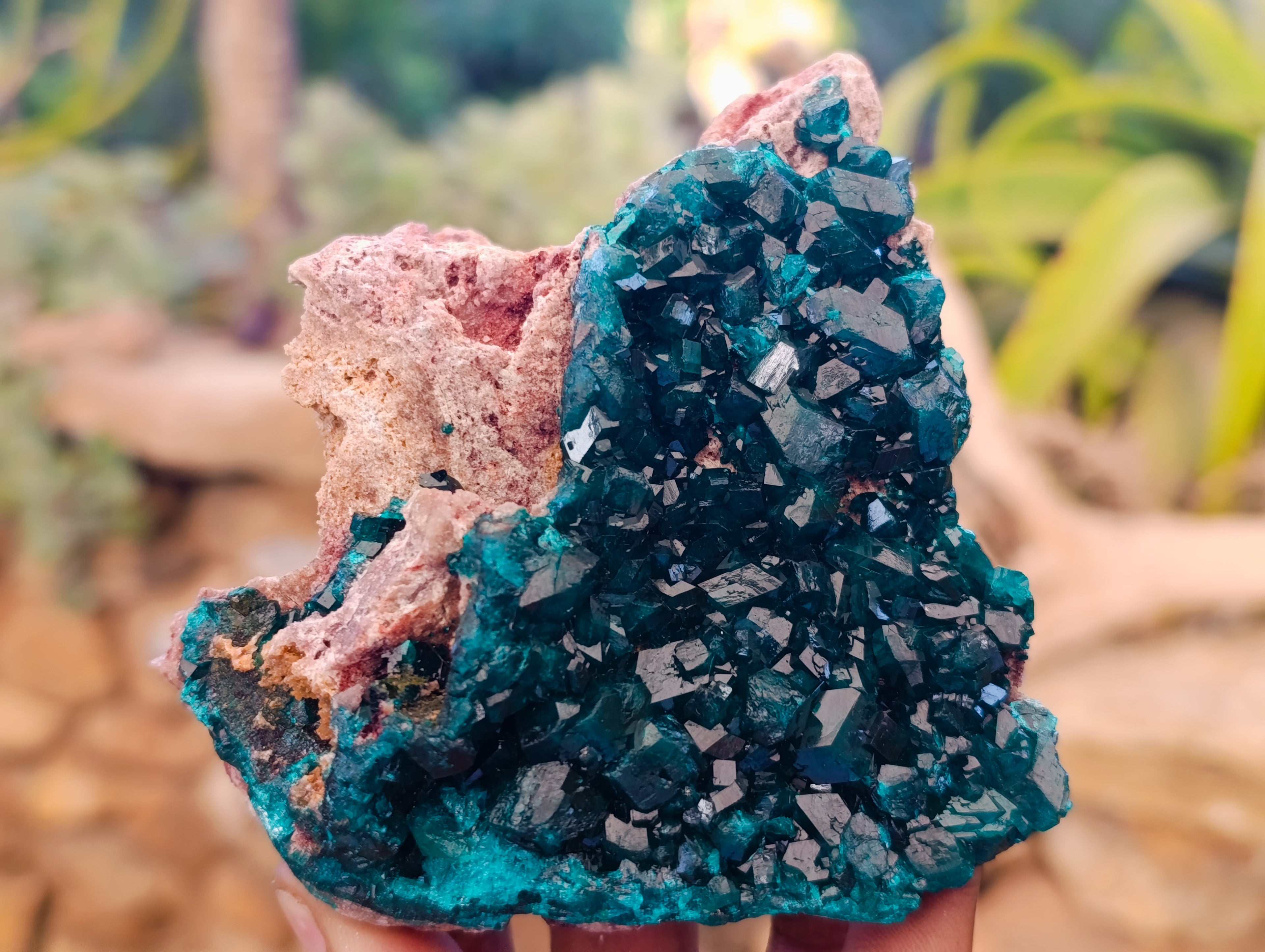 Natural Dioptase On Dolomite Specimens x 3 From Likasi, Congo - Toprock Gemstones and Minerals 