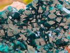 Natural Dioptase On Dolomite Specimens x 3 From Likasi, Congo - Toprock Gemstones and Minerals 