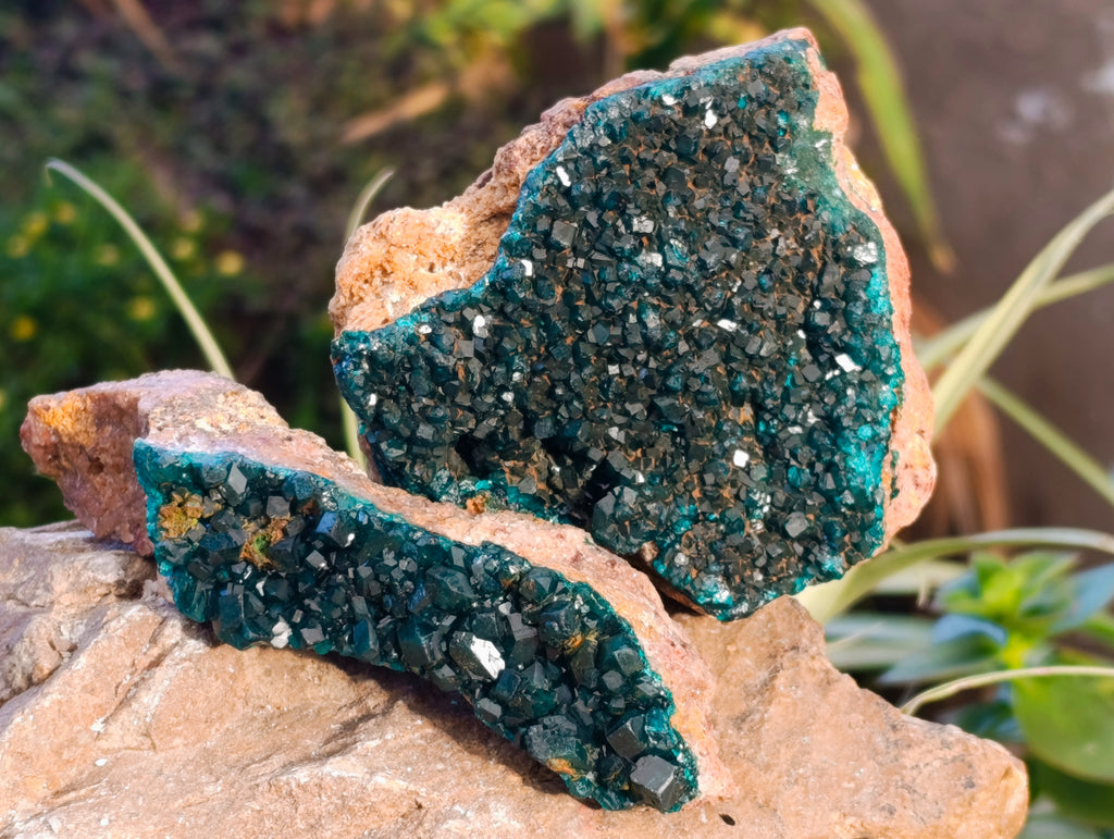 Natural Dioptase On Dolomite Specimens x 3 From Likasi, Congo - Toprock Gemstones and Minerals 
