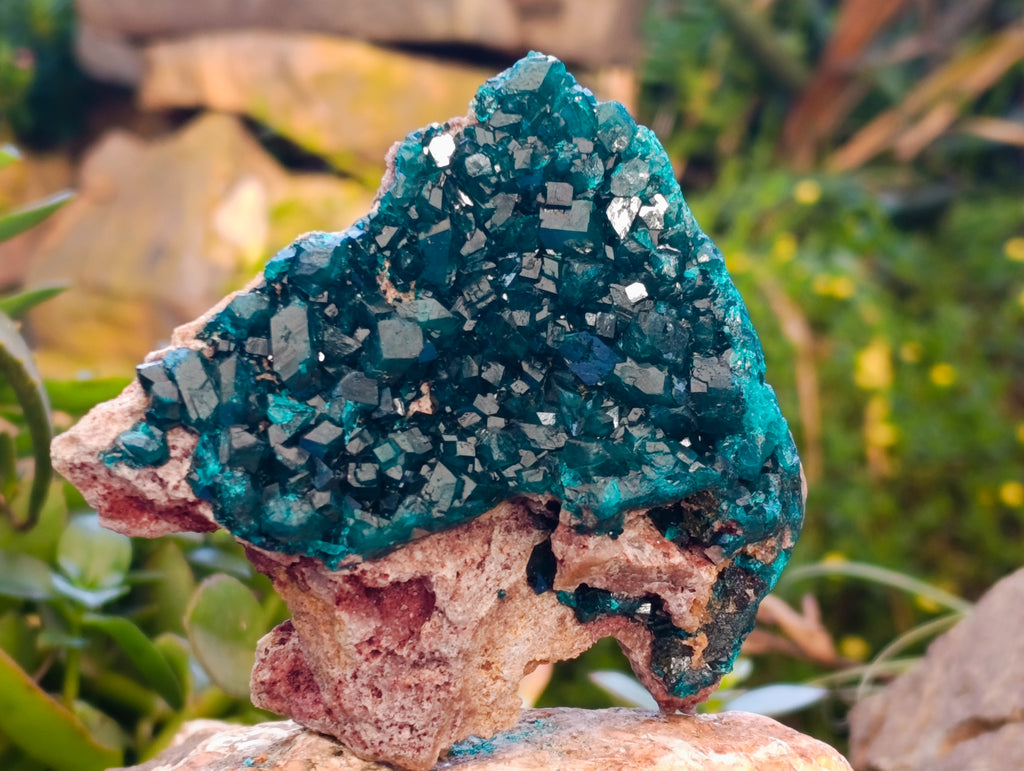 Natural Dioptase On Dolomite Specimens x 3 From Likasi, Congo - Toprock Gemstones and Minerals 