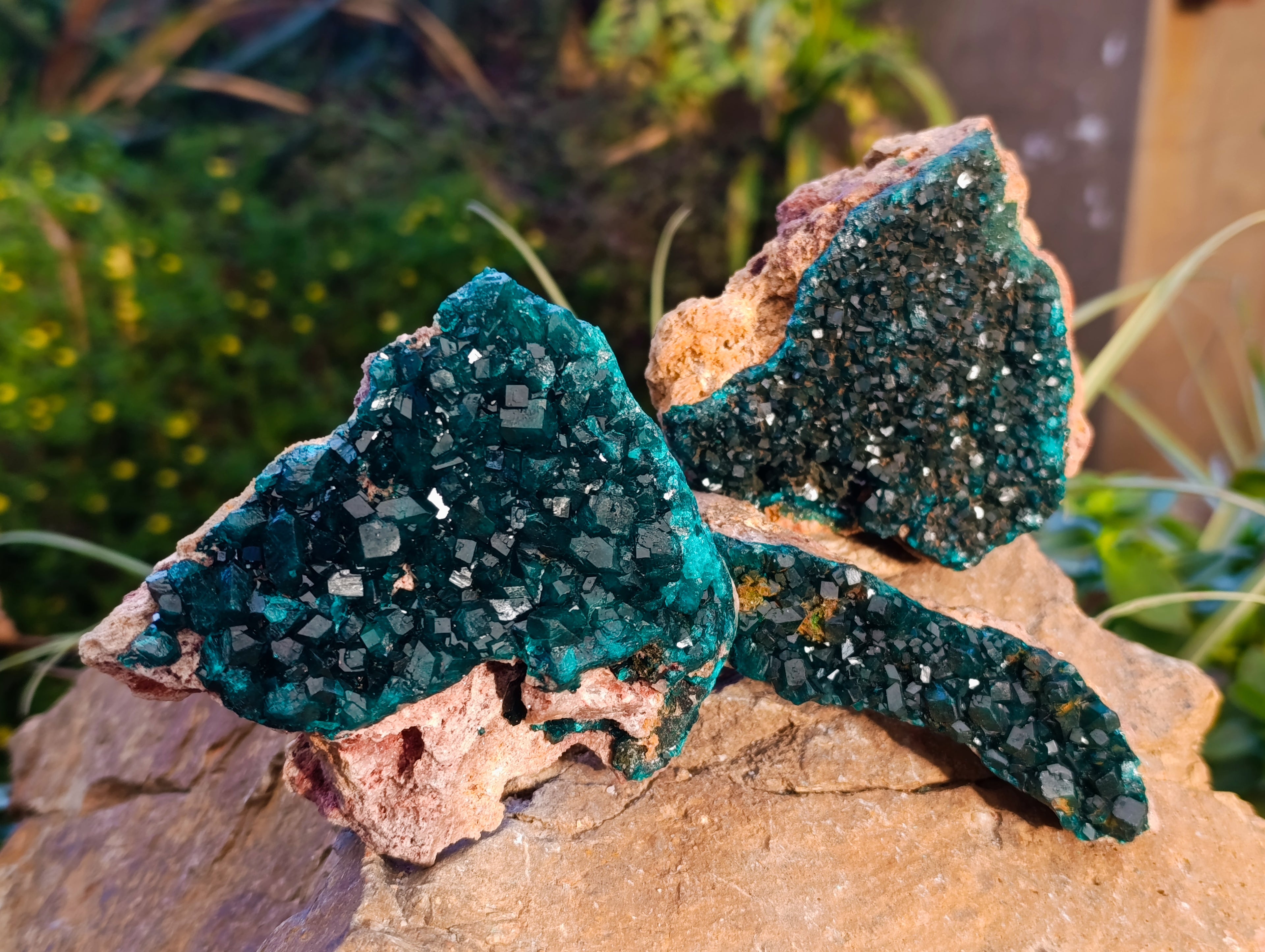Natural Dioptase On Dolomite Specimens x 3 From Likasi, Congo - Toprock Gemstones and Minerals 
