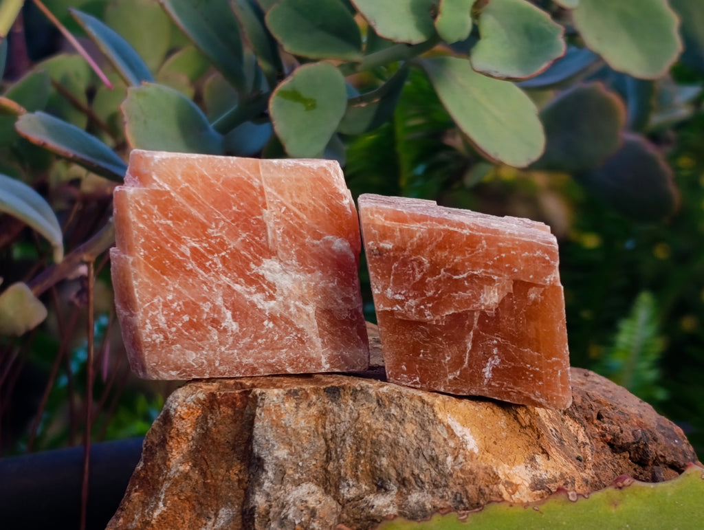 Natural Sunset Orange Calcite Specimens x 24 From Spitzkop, Namibia - Toprock Gemstones and Minerals 