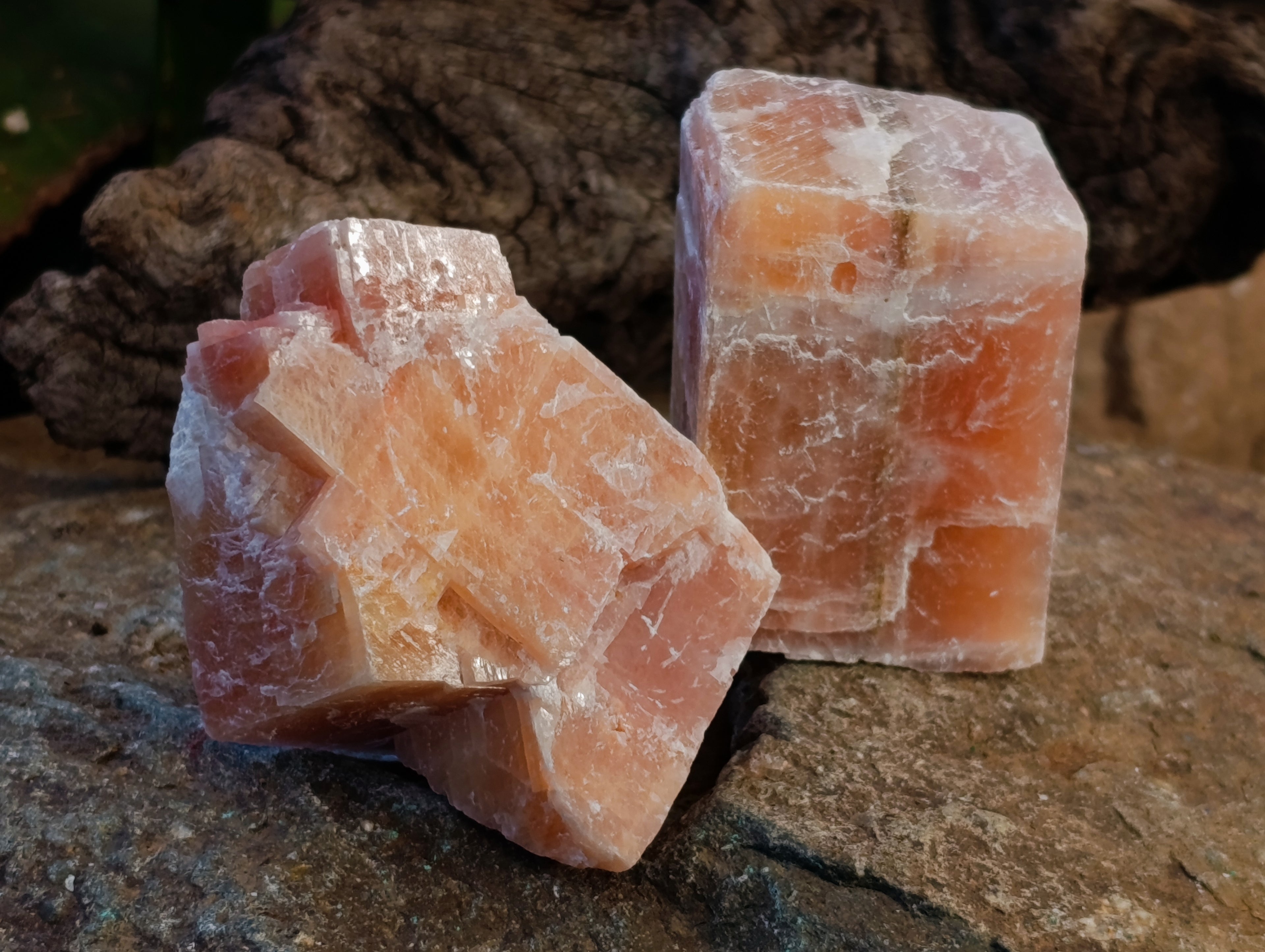 Natural Sunset Orange Calcite Specimens x 24 From Spitzkop, Namibia - Toprock Gemstones and Minerals 