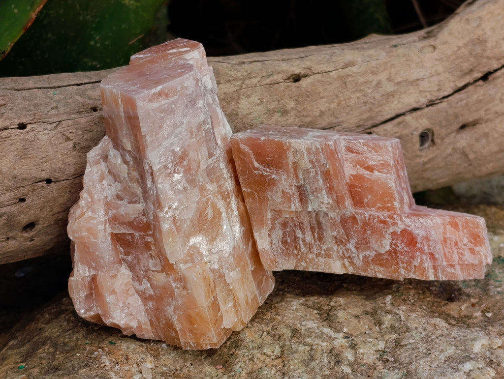 Natural Sunset Orange Calcite Specimens x 24 From Spitzkop, Namibia - Toprock Gemstones and Minerals 