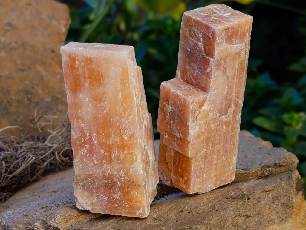 Natural Sunset Orange Calcite Specimens x 24 From Spitzkop, Namibia - Toprock Gemstones and Minerals 