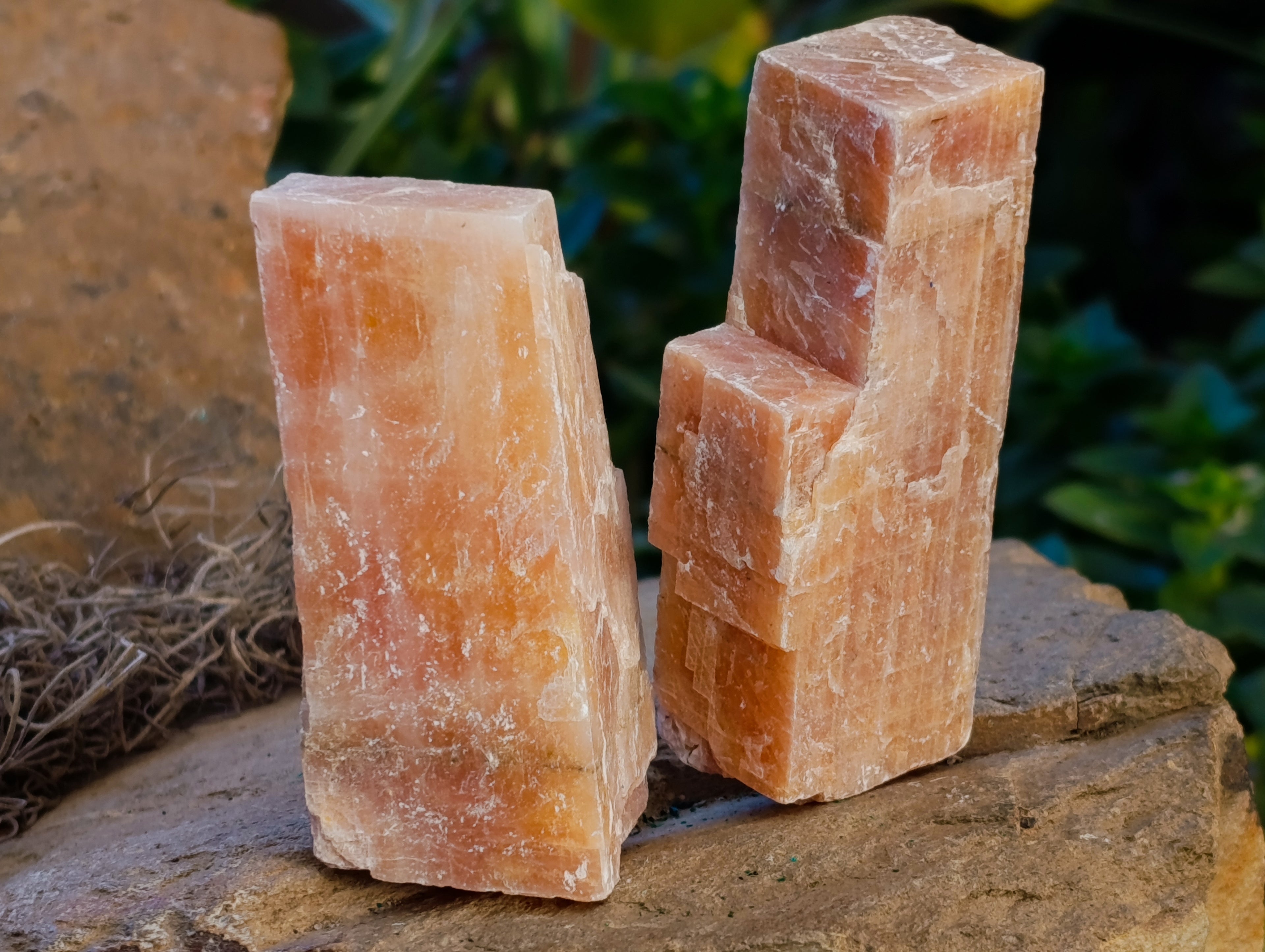 Natural Sunset Orange Calcite Specimens x 24 From Spitzkop, Namibia - Toprock Gemstones and Minerals 