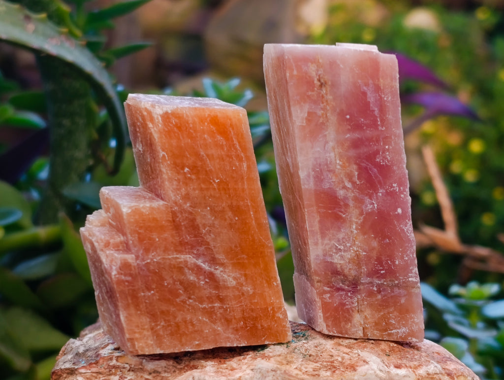 Natural Sunset Orange Calcite Specimens x 24 From Spitzkop, Namibia - Toprock Gemstones and Minerals 
