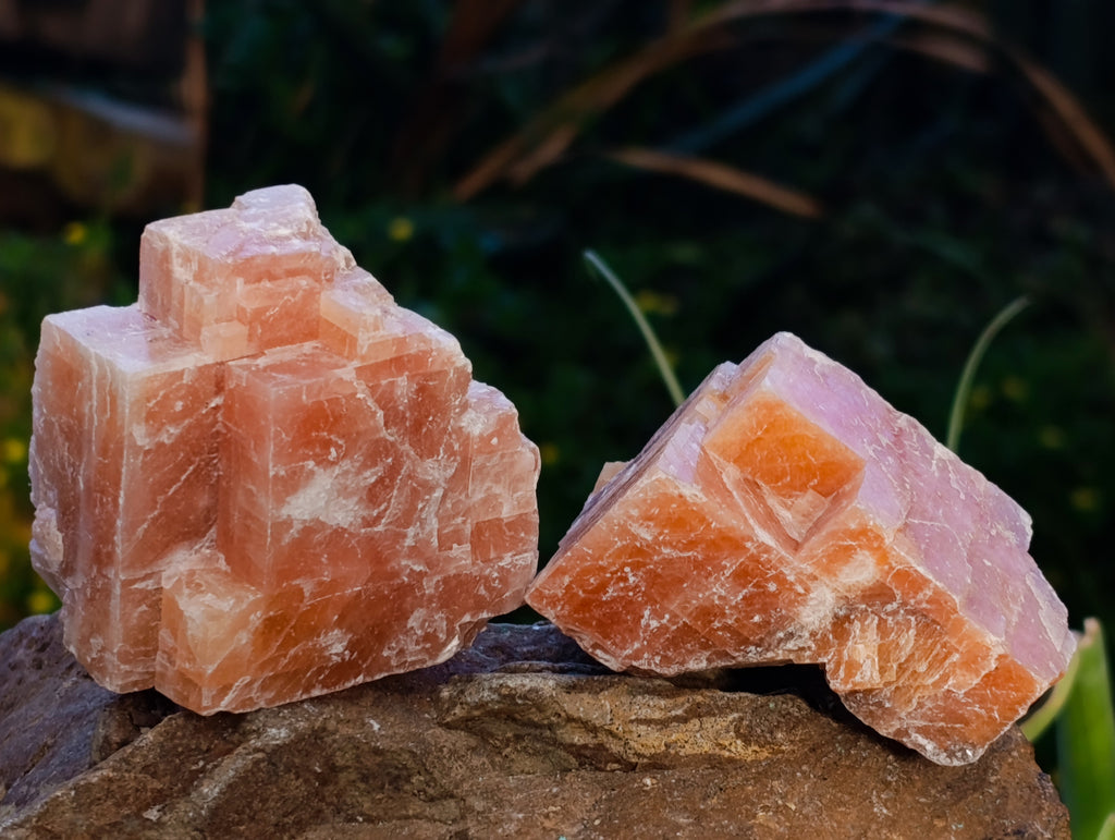 Natural Sunset Orange Calcite Specimens x 24 From Spitzkop, Namibia - Toprock Gemstones and Minerals 