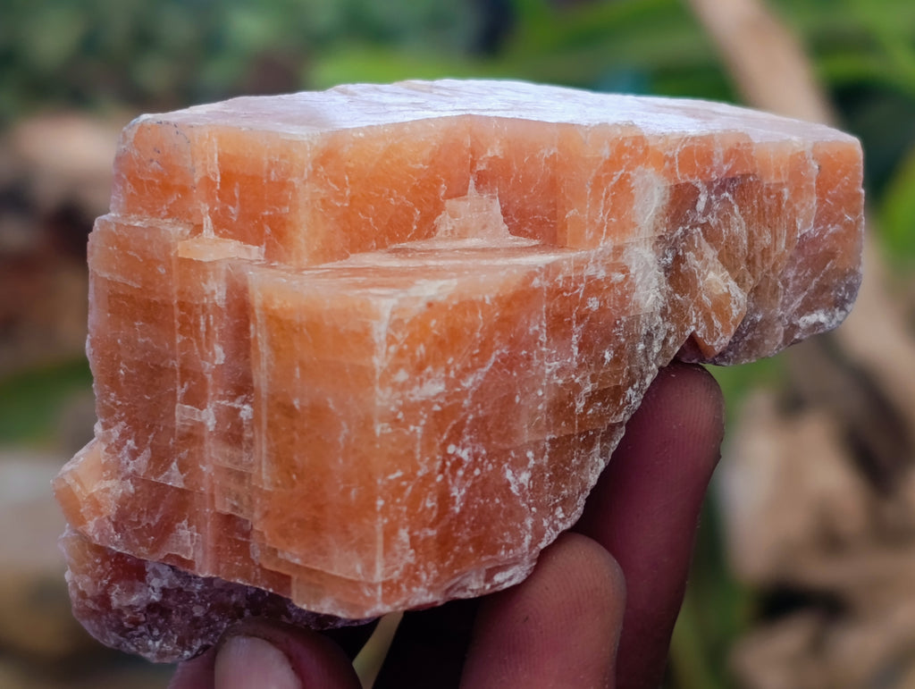 Natural Sunset Orange Calcite Specimens x 24 From Spitzkop, Namibia - Toprock Gemstones and Minerals 