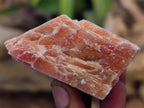 Natural Sunset Orange Calcite Specimens x 24 From Spitzkop, Namibia - Toprock Gemstones and Minerals 