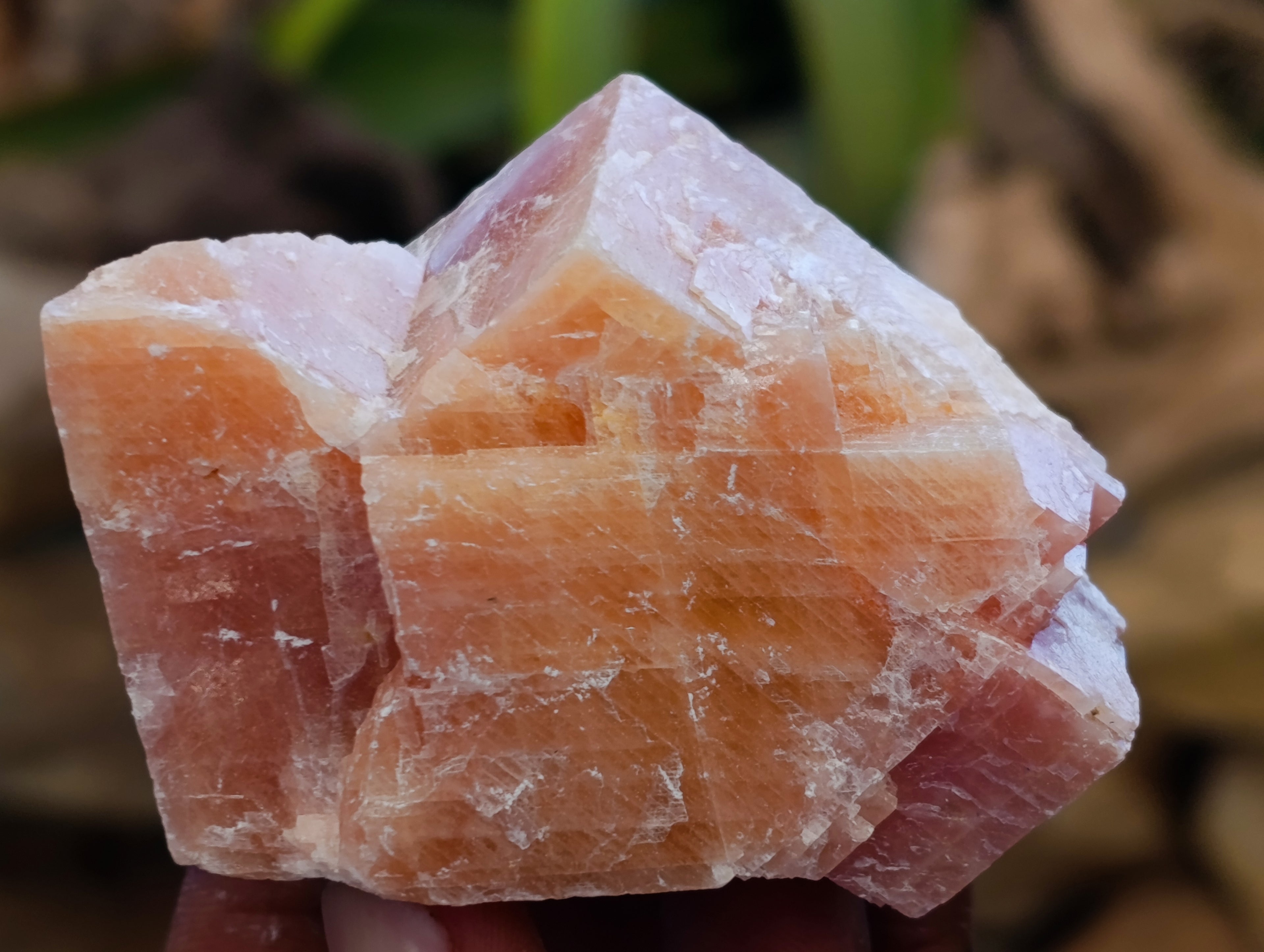 Natural Sunset Orange Calcite Specimens x 24 From Spitzkop, Namibia - Toprock Gemstones and Minerals 