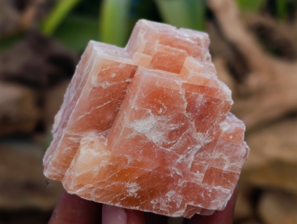 Natural Sunset Orange Calcite Specimens x 24 From Spitzkop, Namibia - Toprock Gemstones and Minerals 