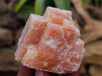 Natural Sunset Orange Calcite Specimens x 24 From Spitzkop, Namibia - Toprock Gemstones and Minerals 