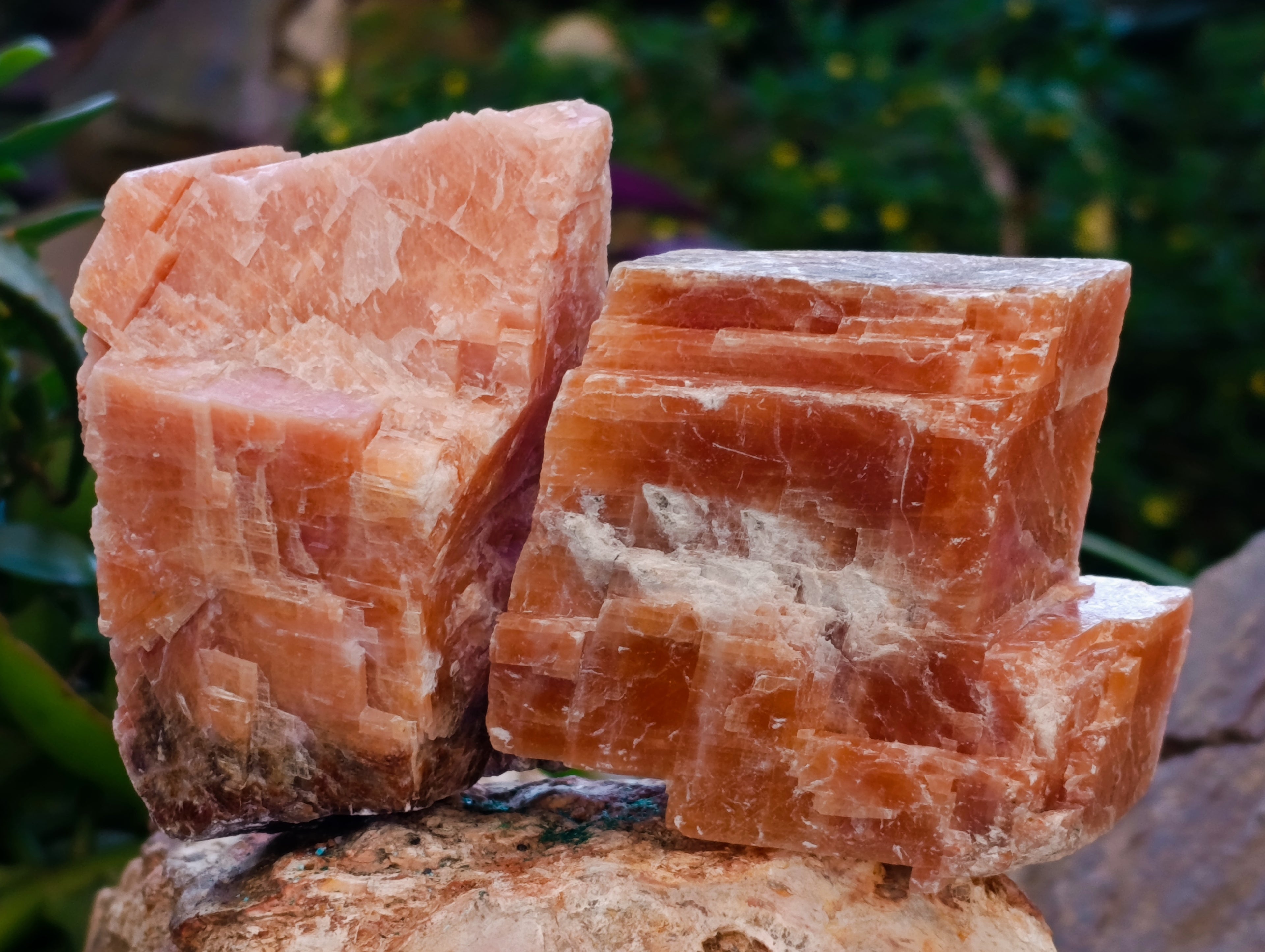Natural Sunset Orange Calcite Specimens x 6 From Spitzkop, Namibia - Toprock Gemstones and Minerals 