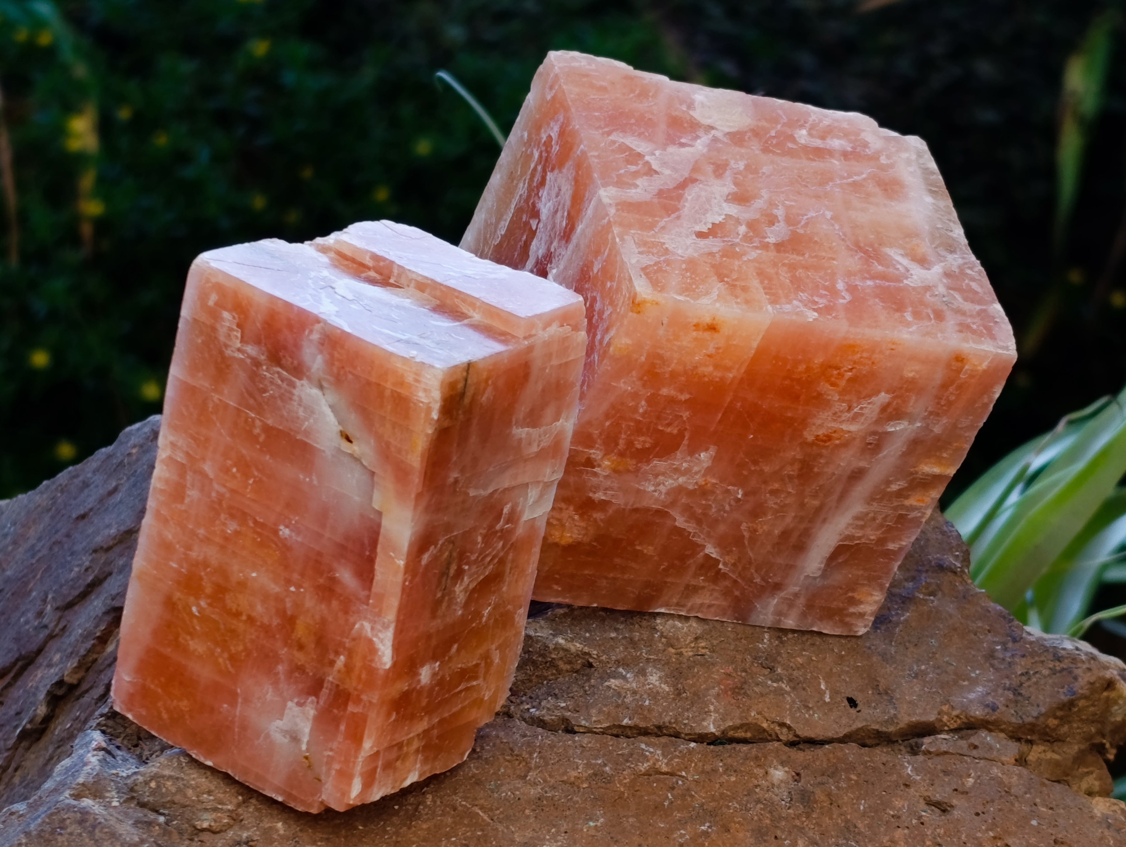 Natural Sunset Orange Calcite Specimens x 6 From Spitzkop, Namibia - Toprock Gemstones and Minerals 
