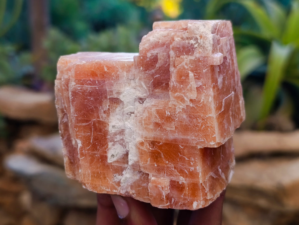 Natural Sunset Orange Calcite Specimens x 6 From Spitzkop, Namibia - Toprock Gemstones and Minerals 
