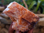 Natural Sunset Orange Calcite Specimens x 6 From Spitzkop, Namibia - Toprock Gemstones and Minerals 