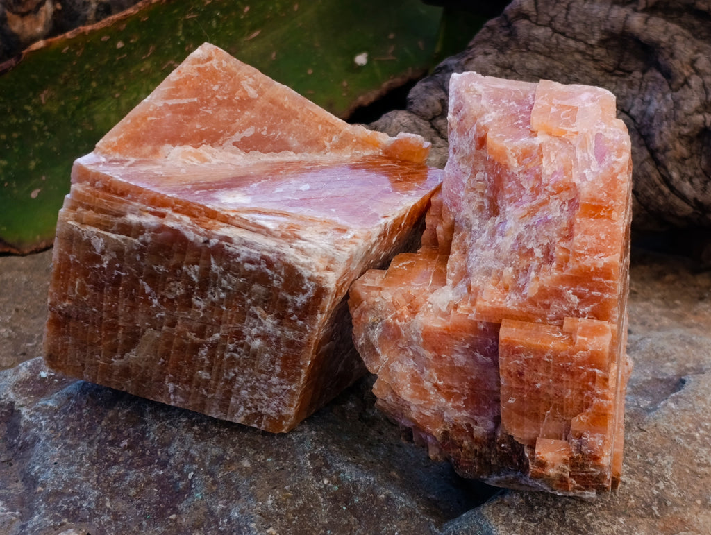 Natural Sunset Orange Calcite Specimens x 6 From Spitzkop, Namibia - Toprock Gemstones and Minerals 