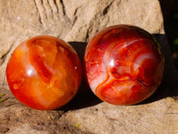 Polished Carnelian Spheres x 6 From Madagascar